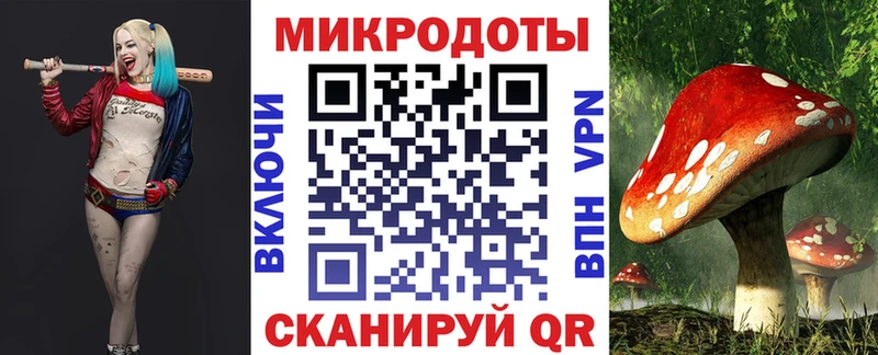 Псилоцибиновые грибы Cubensis  где можно купить наркотик  Баксан 